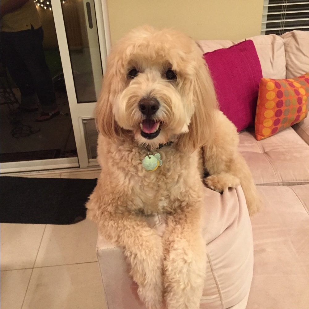 Meet your Posher, Jennifer